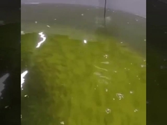 অনলাইন অপটিক্যাল দ্রবীভূত অক্সিজেন সেন্সর Rs485 অক্সিজেন অপটিক্যাল সেন্সর